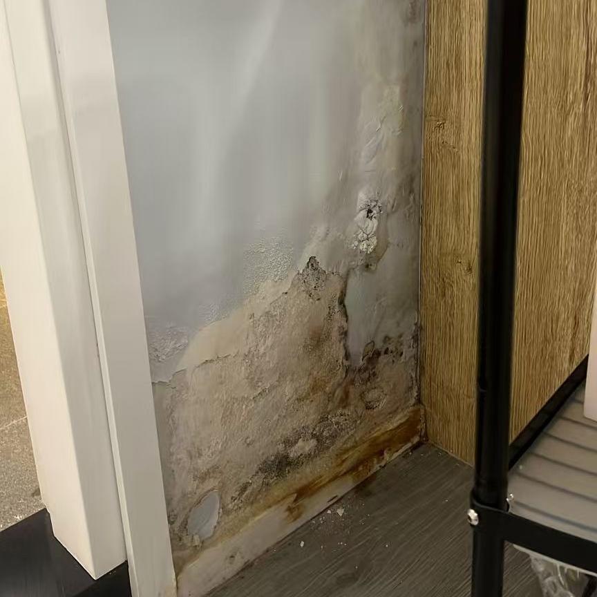 外牆裂縫滲水